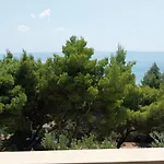 Zemunik 아파트 오미스